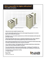 Retransmission Consent: Who's Responsible for Higher Cable Prices?