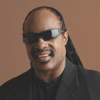 Stevie Wonder