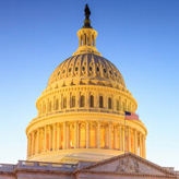 U.S. Capitol