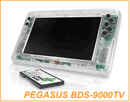 Pegasus TV