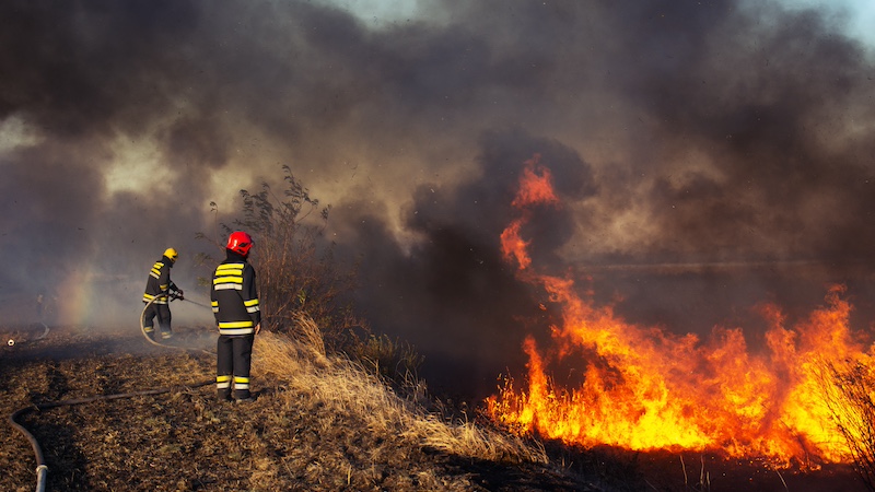 Photo of firefighters putting out a wildfire